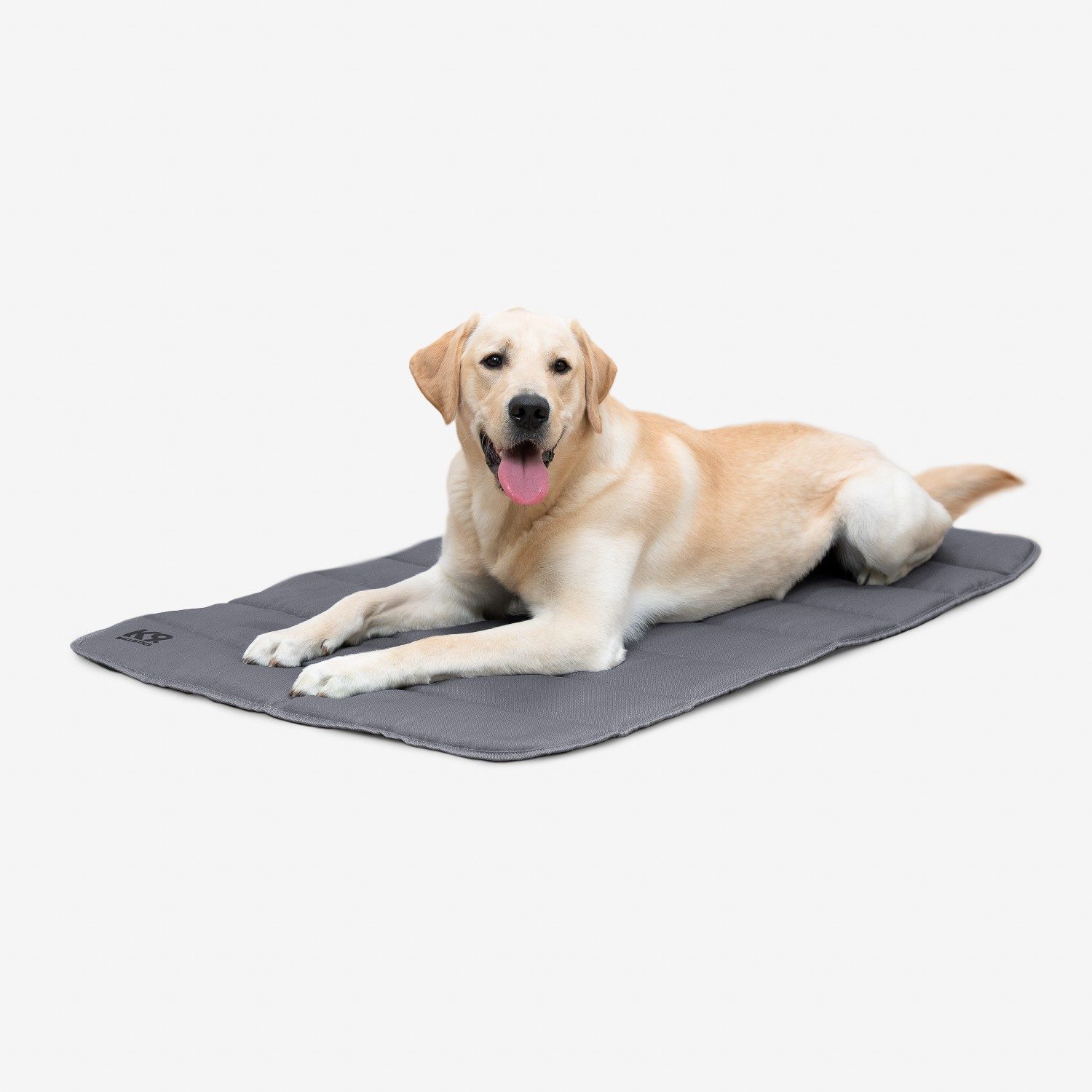 Dog on pet bed — e-commerce catalog shot