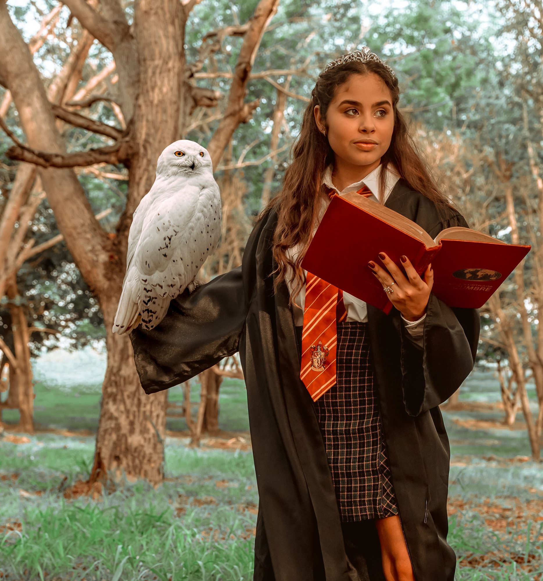 Themed character session with owl